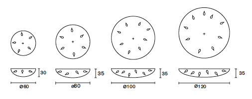 COCOP80N